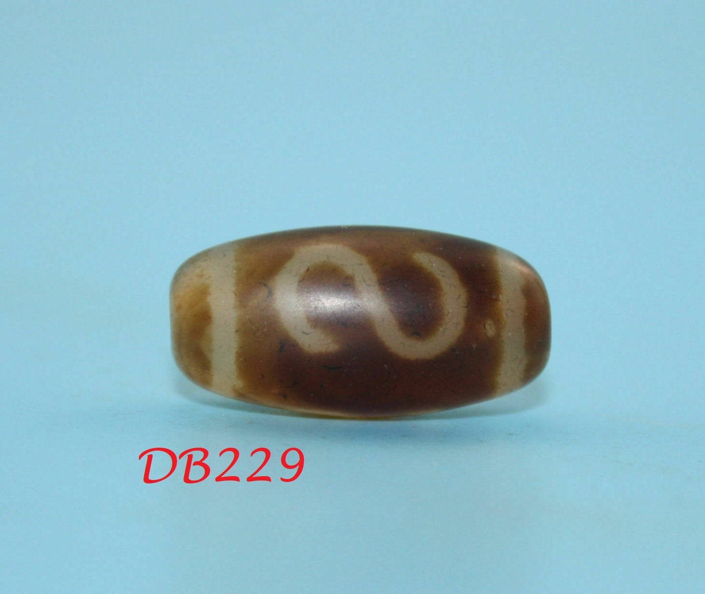 Authentic Natural Dzi old Bead from Tibet