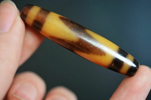 Authentic Natural duck yellow Tiger Tooth dZi Bead pendant