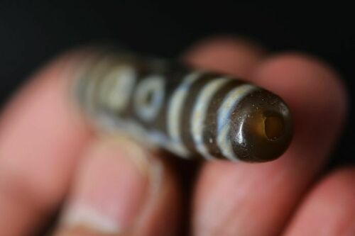 Authentic Natural Tibetan Dzi 6 Eyed Bead DB259