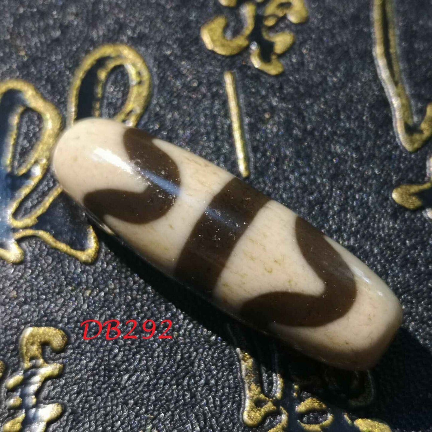 Natural Authentic Tibetan Double tiger teeth dZi Bead