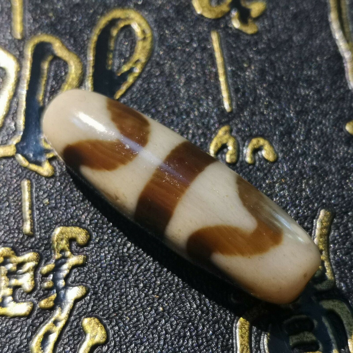 Natural Authentic Tibetan Double tiger teeth dZi Bead