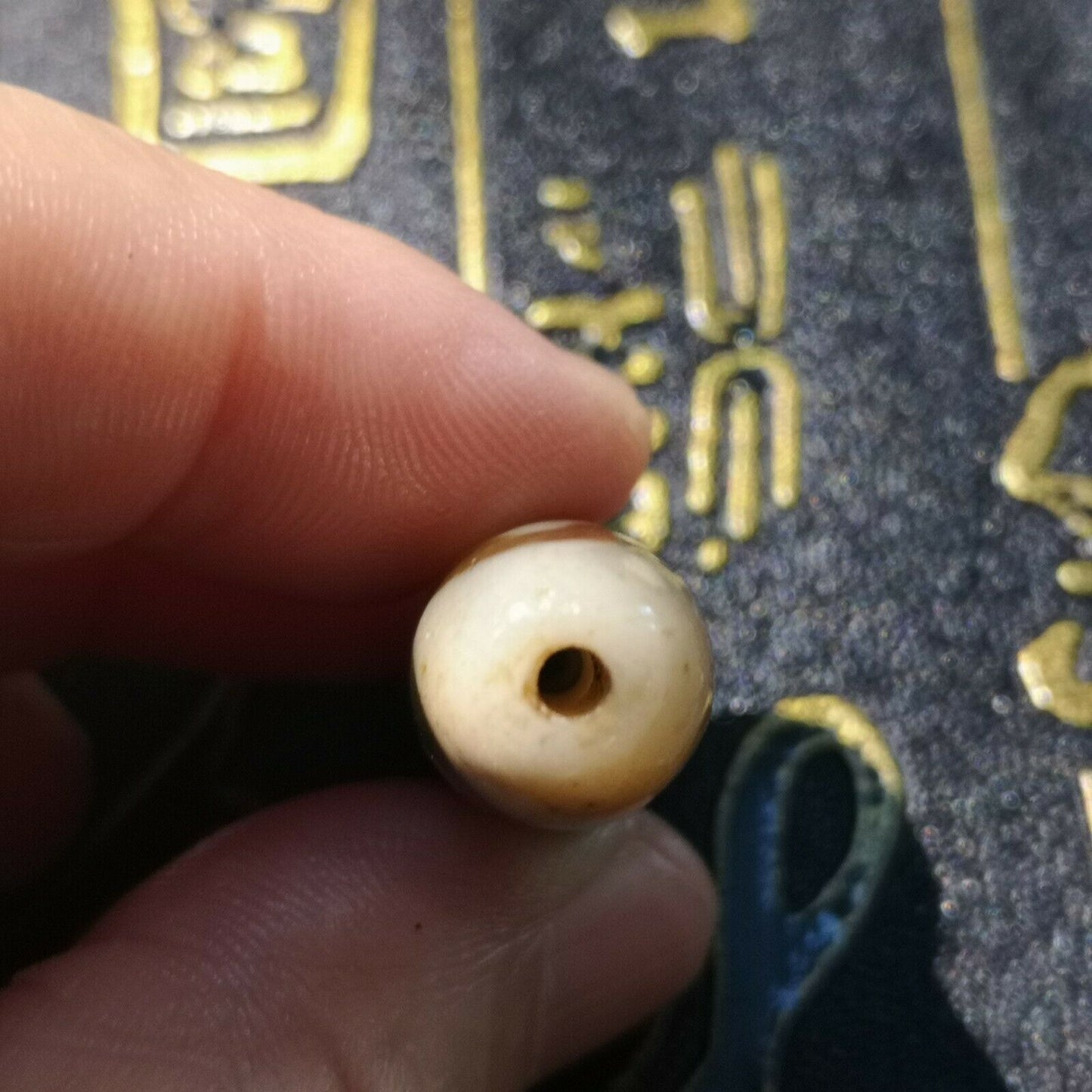 Natural Authentic Tibetan Double tiger teeth dZi Bead