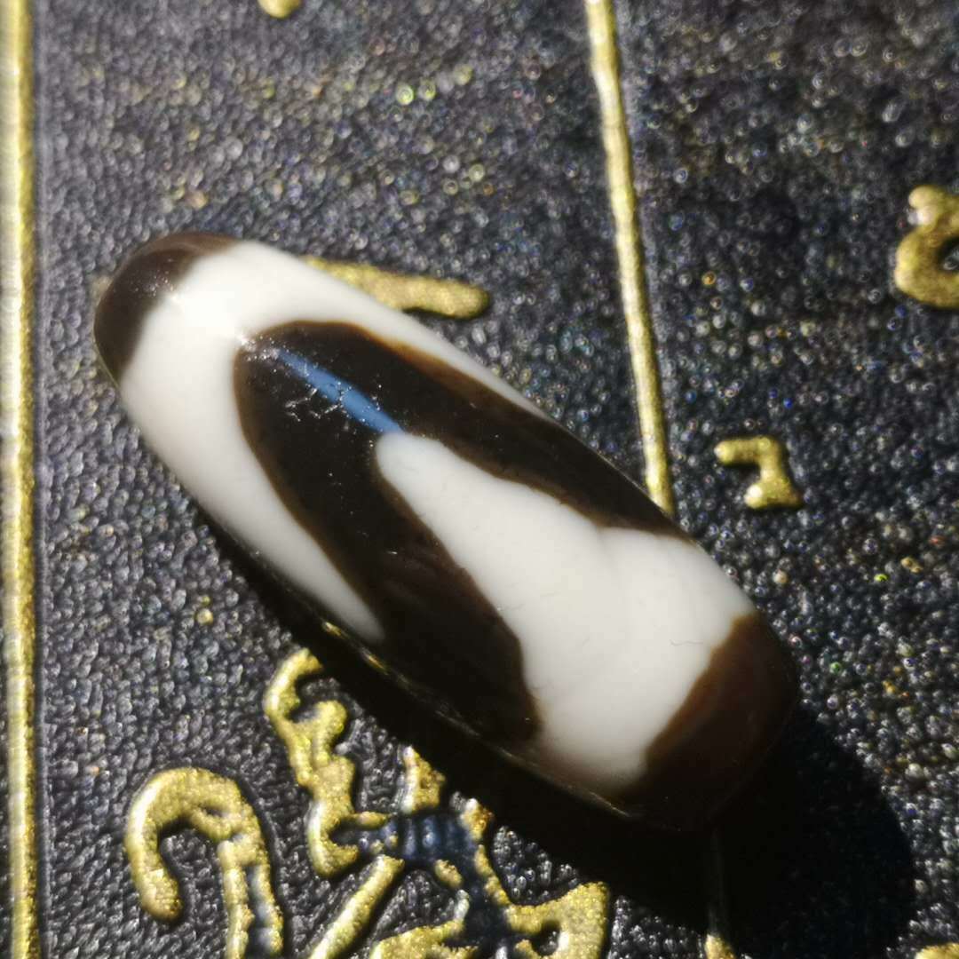 Natural Authentic Tibetan tiger teeth  dZi Bead