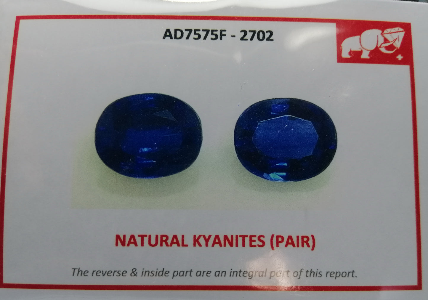 Natural Swiss Lab Certified 4.62cts Top Quality Natural Pair Kyanites KY01 (24)