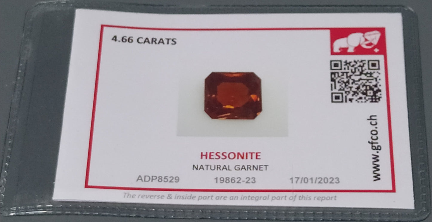 Natural Certified Garnet: Radiant Rouge 4.66cts- NA11 (24)