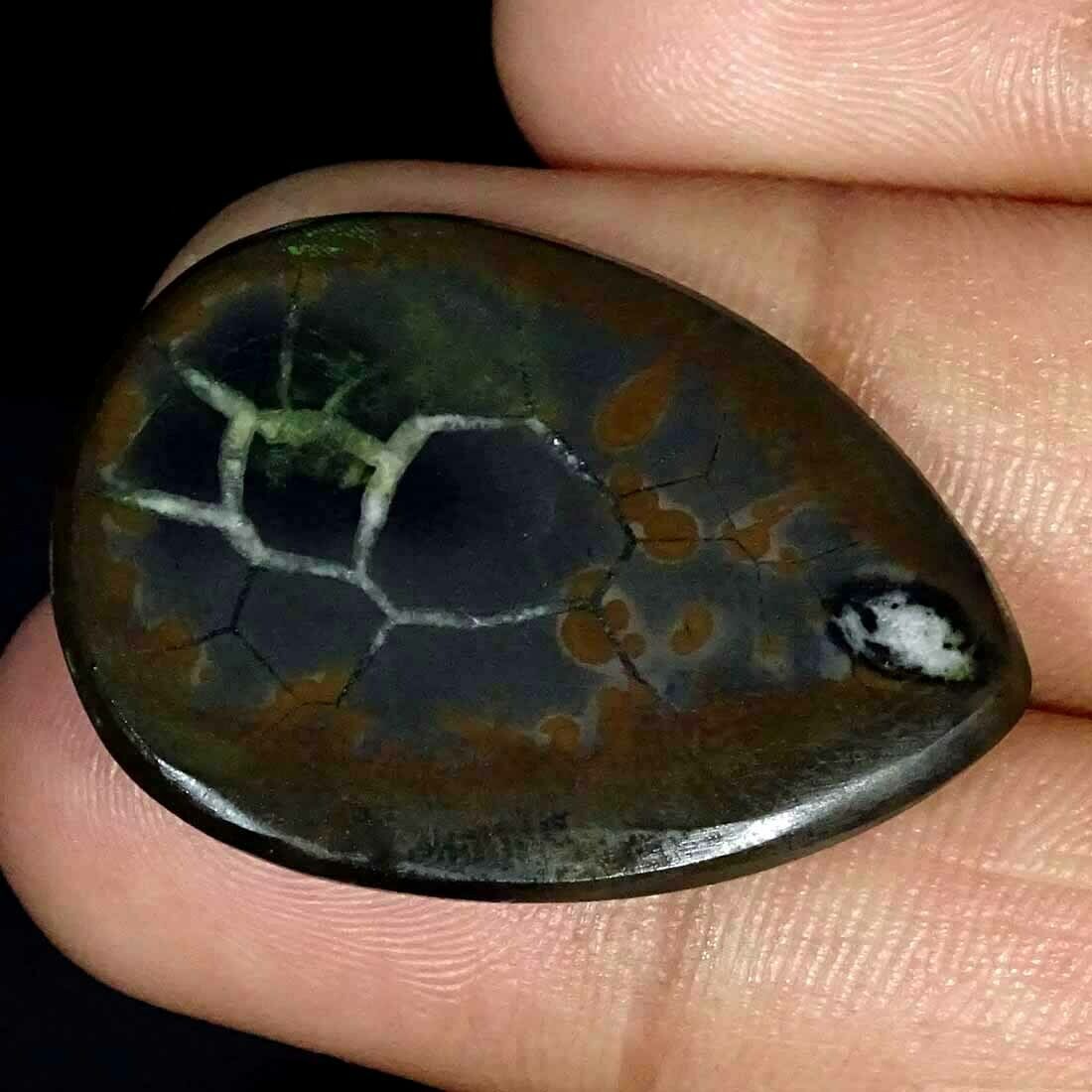 Natural Septarian Pear Cabochon Loose Gemstone