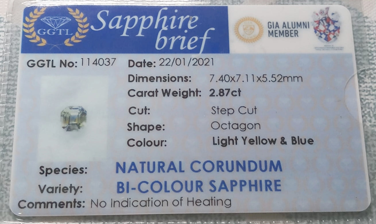 Natural Bi-color Sapphire:  Chromatic Majesty 2.87cts- BSC1 (24)