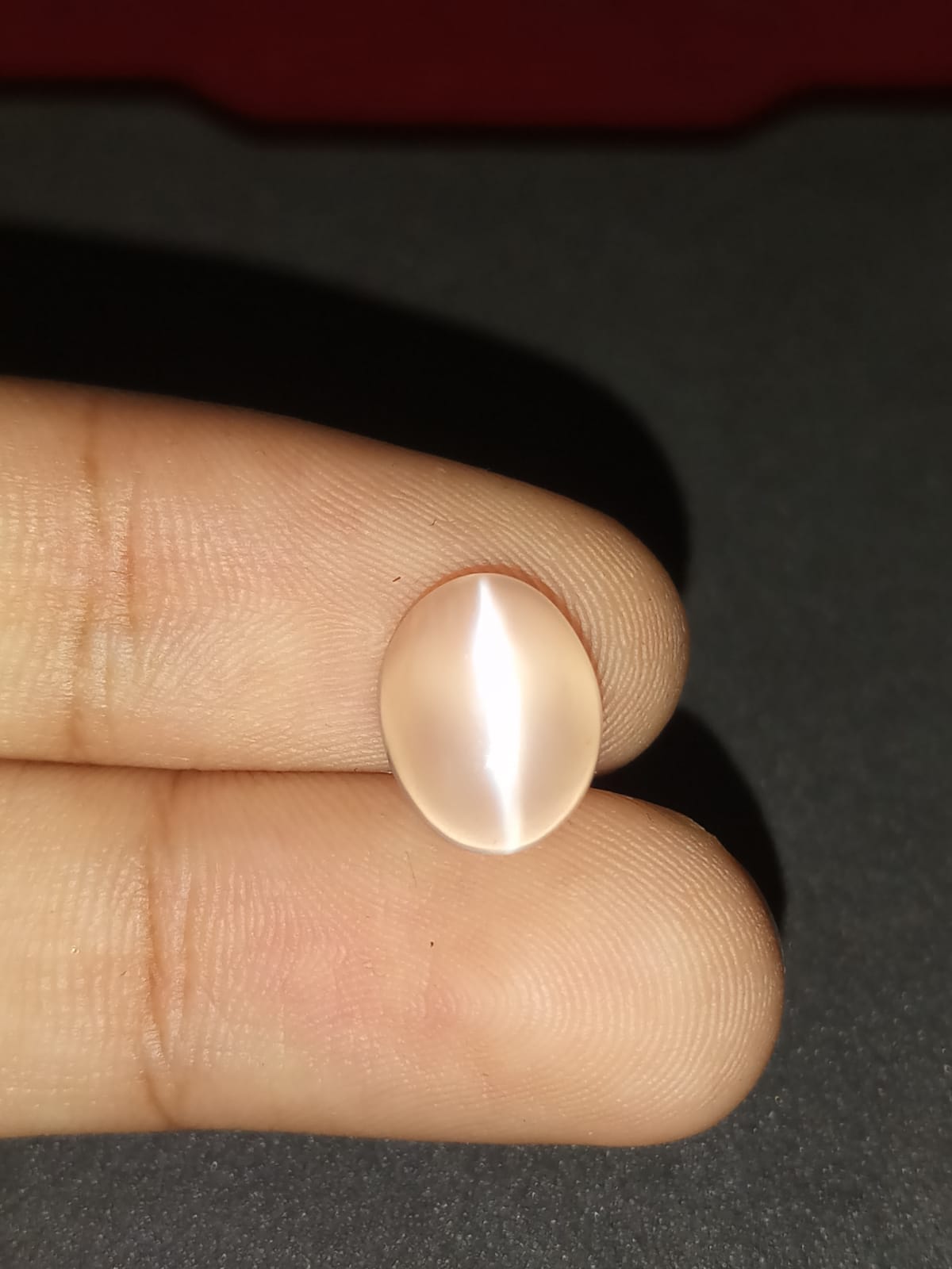 Natural White Moonstone Catseye Gemstone 3.25cts WMC5 (24)