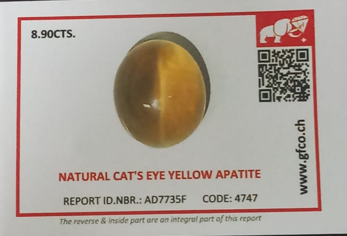 Natural Certified Apatite Catseye 8.9cts- AP20 (24)