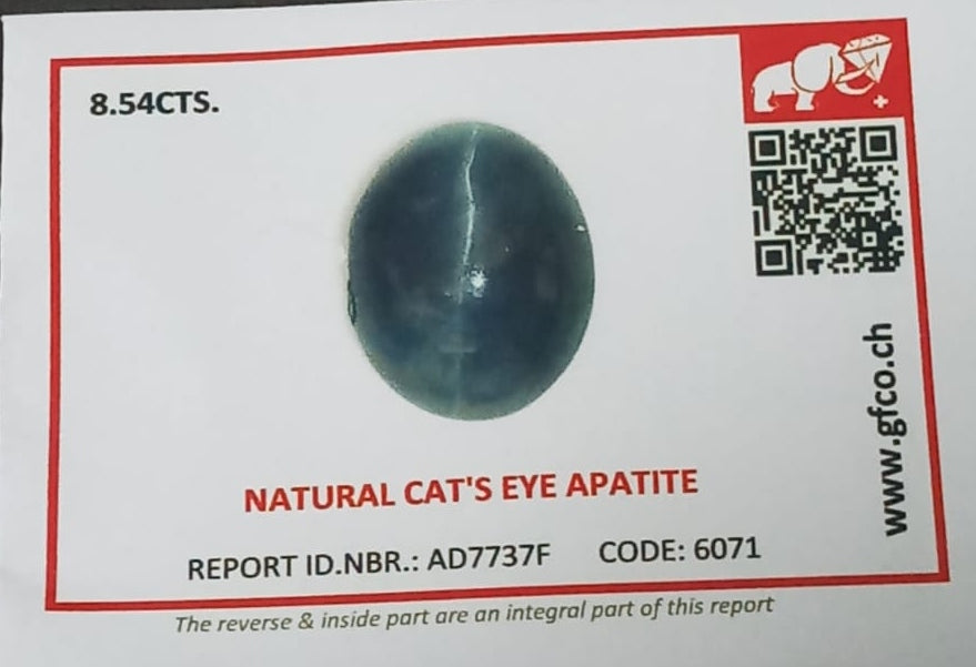 Natural Certified Apatite Catseye 8.54cts- AC41 (24)