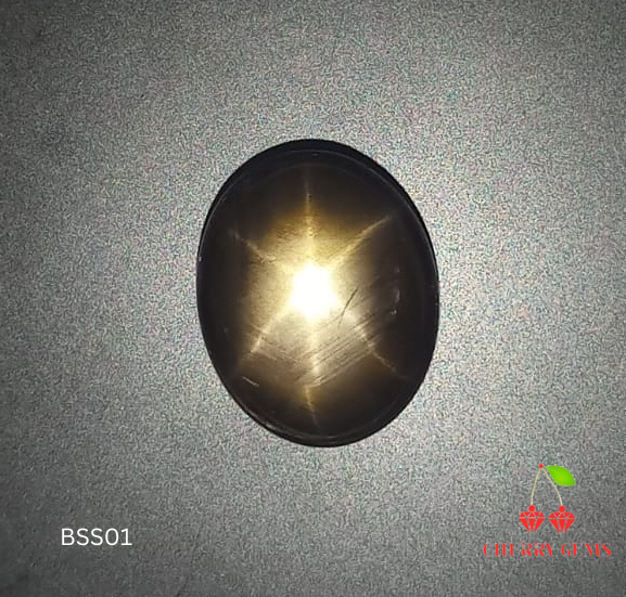 Natural Black Star Sapphire: Shadow Veil 15.42cts- BSS101 (24)