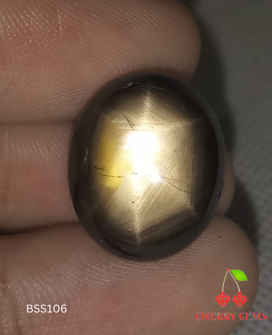 Natural Black Star Sapphire: Galactic Gleam 29.64cts- BSS106 (24)