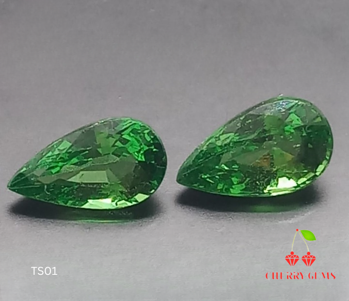 Natural Unique Pair Tsavorite 1.4cts- TS01 (24)